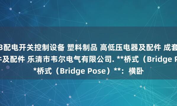 3配电开关控制设备 塑料制品 高低压电器及配件 成套设备 电子元器件及配件 乐清市韦尔电气有限公司. **桥式（Bridge Pose）**：横卧