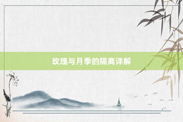 玫瑰与月季的隔离详解