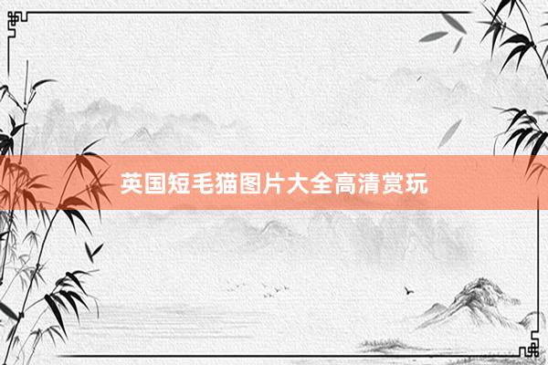 英国短毛猫图片大全高清赏玩